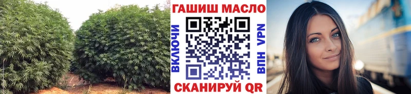 ТГК Wax  Купить  Удачный 