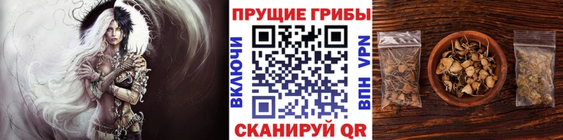 Купить где Удачный Псилоцибиновые грибы ЛСД